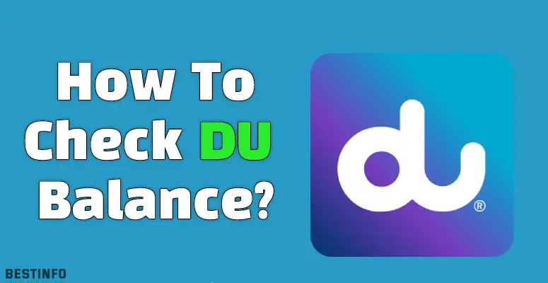 How to check DU Balance