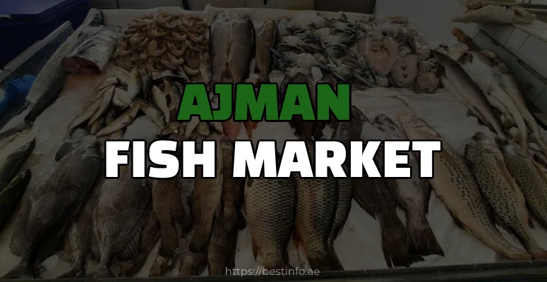Ajman Fish Market Guide